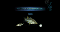 Desktop Screenshot of gosnookfishing.com